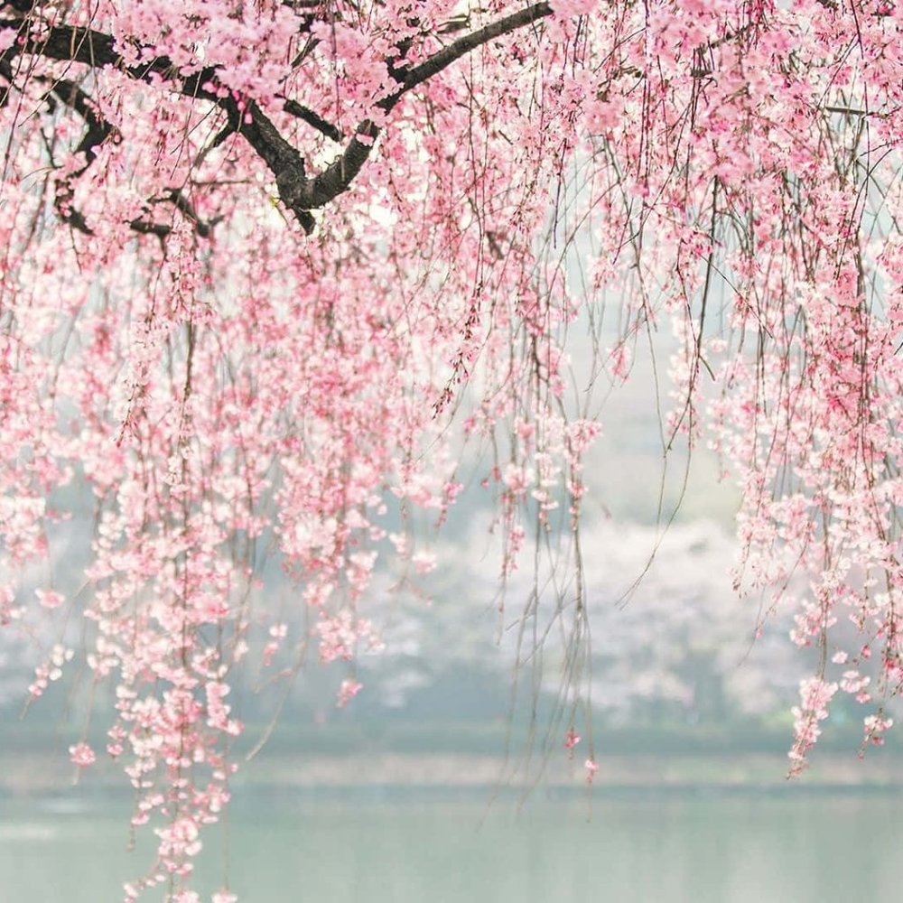 Welcome to my store!